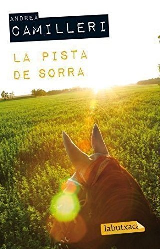 La pista de sorra