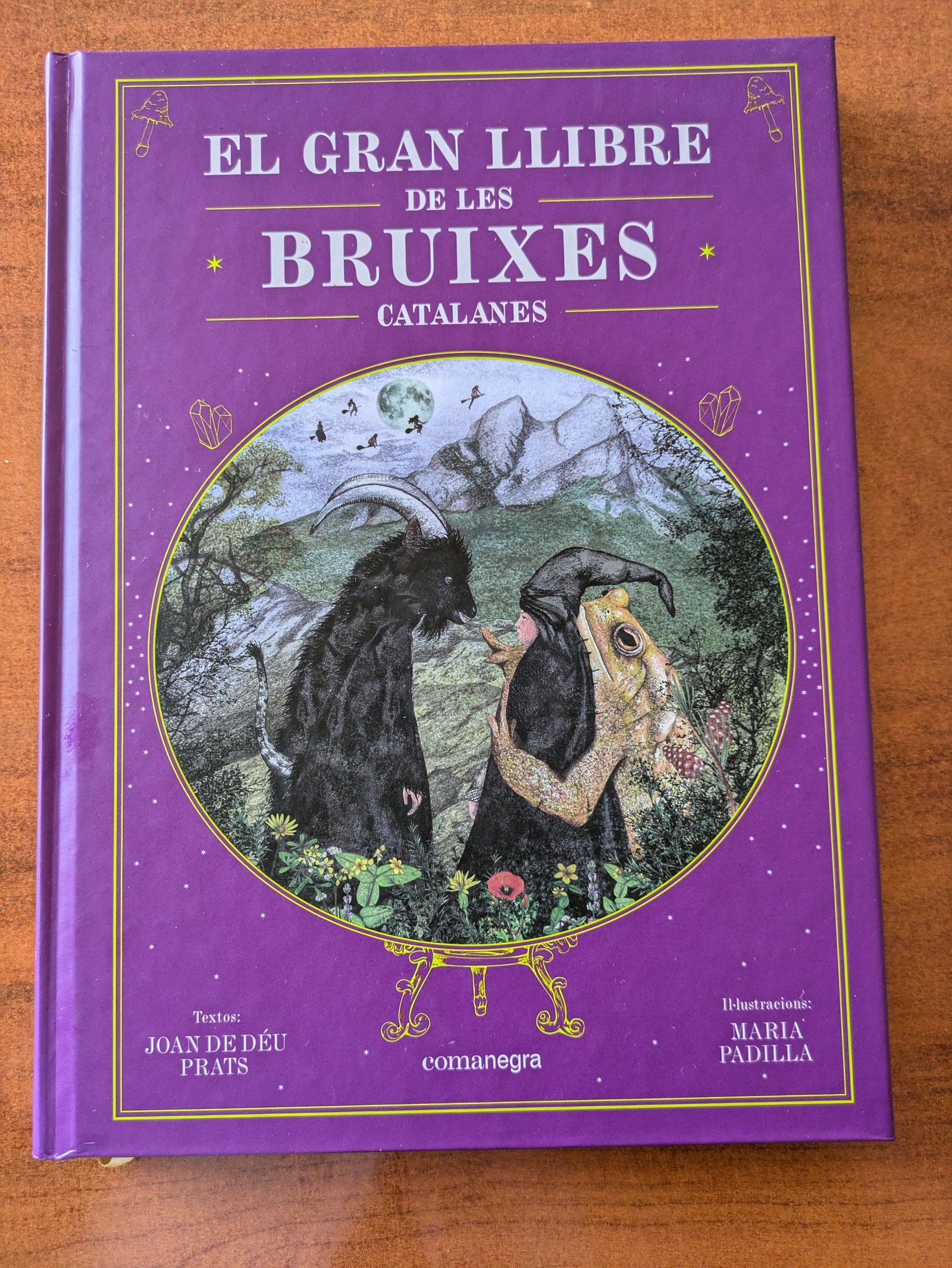 El gran llibre de les bruixes catalanes