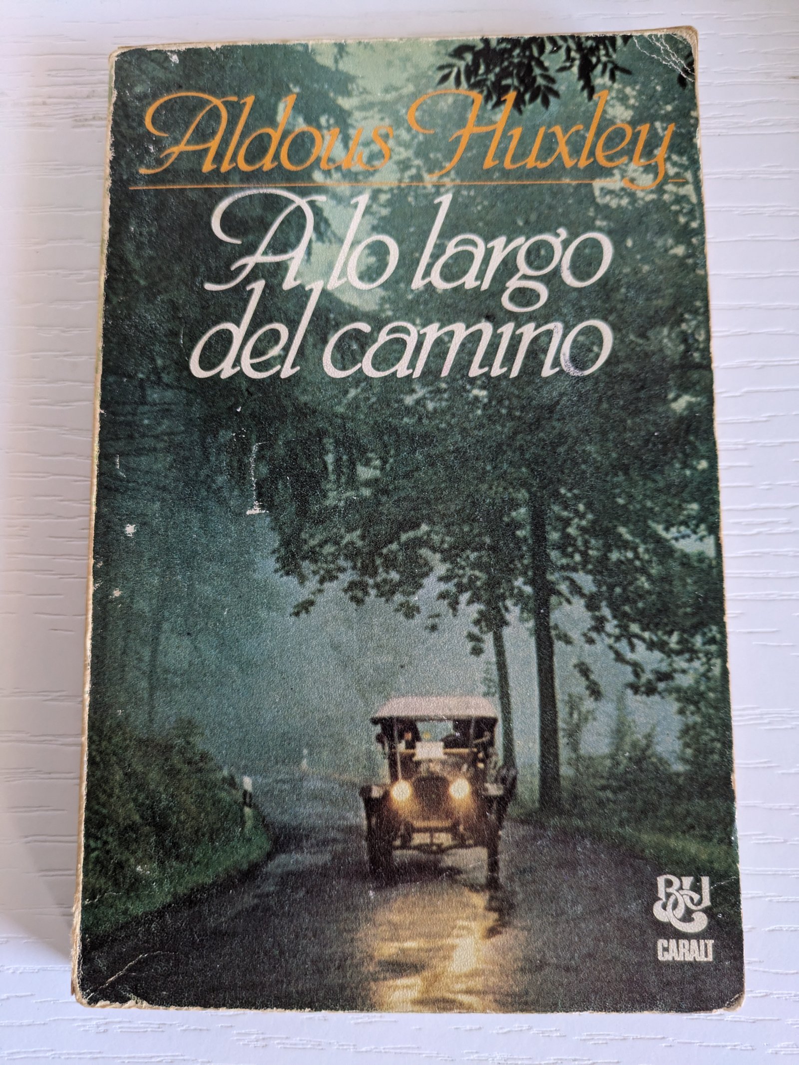 Alo largo del camino